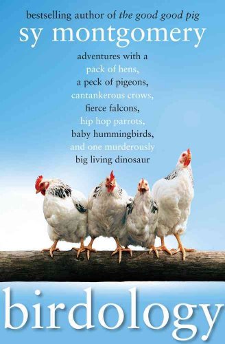 Stock image for Birdology: Adventures with a Pack of Hens, a Peck of Pigeons, Cantankerous Crows, Fierce Falcons, Hip Hop Parrots, Baby Hummingbirds, and One Murderously Big Living Dinosaur (t) for sale by Idaho Youth Ranch Books