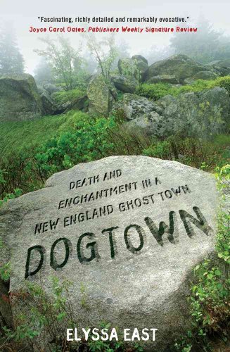 Beispielbild fr Dogtown : Death and Enchantment in a New England Ghost Town zum Verkauf von Better World Books