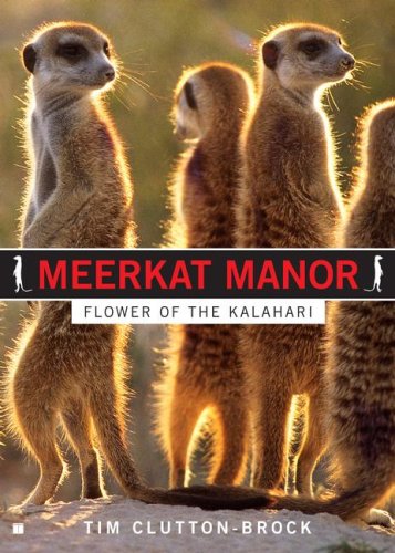 Stock image for Meerkat Manor : Flower of the Kalahari for sale by Better World Books: West