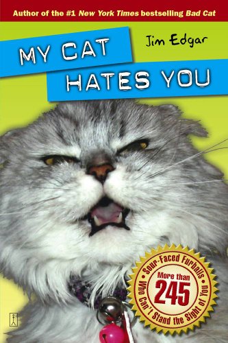 Stock image for My Cat Hates You for sale by Wonder Book