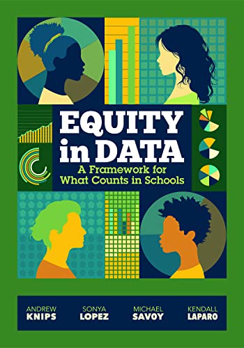 Immagine dell'editore per Equity in Data: A Framework for What Counts in Schools venduto da BooksRun