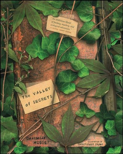 Beispielbild fr The Valley of Secrets zum Verkauf von Wonder Book