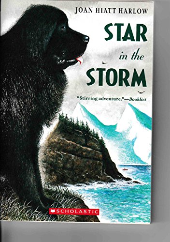 Stock image for Star in the Storm (Aladdin Historical Fiction) for sale by SecondSale