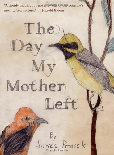 Stock image for The Day My Mother Left for sale by Better World Books