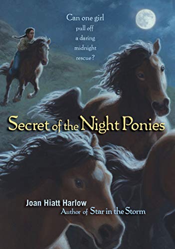 Beispielbild fr Secret of the Night Ponies zum Verkauf von Better World Books