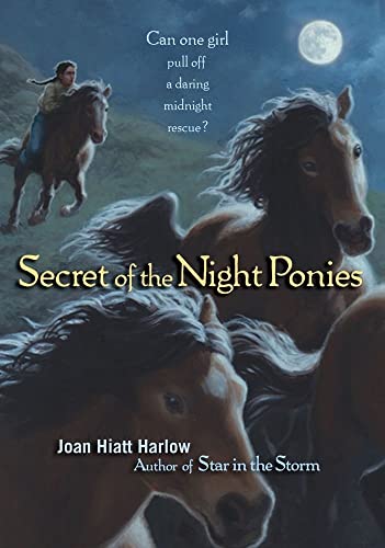 9781416907831: Secret of the Night Ponies
