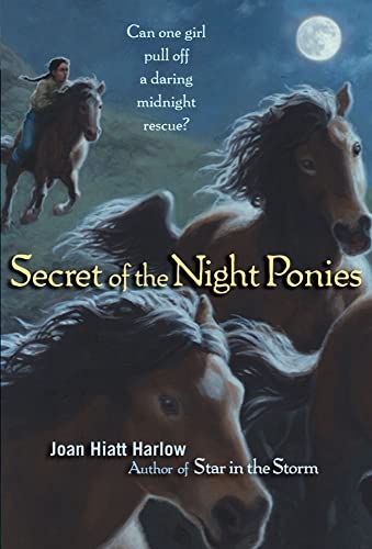 Beispielbild fr Secret of the Night Ponies zum Verkauf von Wonder Book