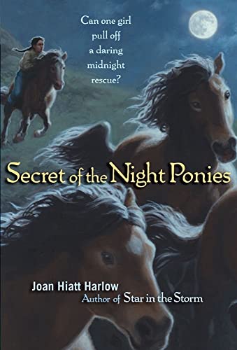 Stock image for Secret of the Night Ponies for sale by Gulf Coast Books