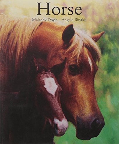 Horse [Mar 03, 2008] Doyle, Malachy and Rinaldi, Angelo (9781416911036) by Malachy Doyle