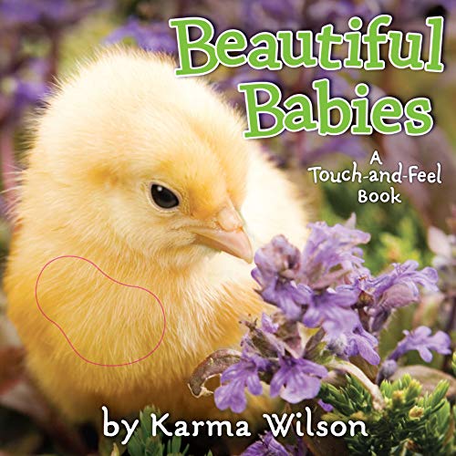 Imagen de archivo de Beautiful Babies: A Touch-and-Feel Book a la venta por Gulf Coast Books