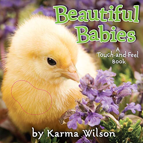 Stock image for Beautiful Babies: A Touch-and-Feel Book for sale by Gulf Coast Books