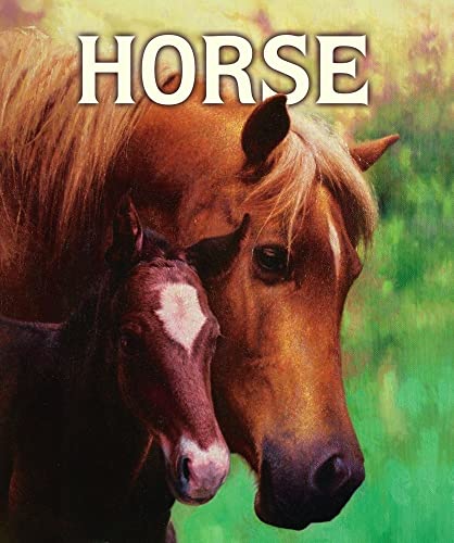 Beispielbild fr Horse zum Verkauf von Wonder Book