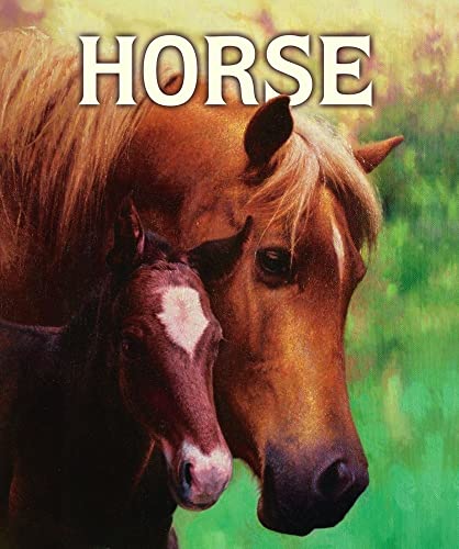 9781416924678: Horse