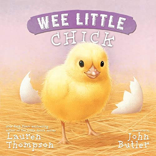 Stock image for Wee Little Chick for sale by Gulf Coast Books