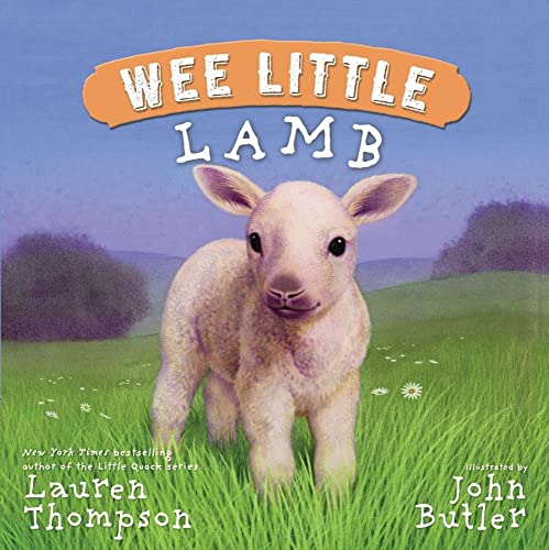 Stock image for Wee Little Lamb for sale by Your Online Bookstore