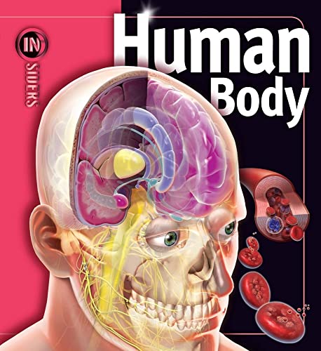 9781416938613: Human Body (Insiders)