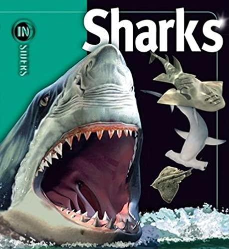 Stock image for Sharks (Insiders) for sale by Orion Tech
