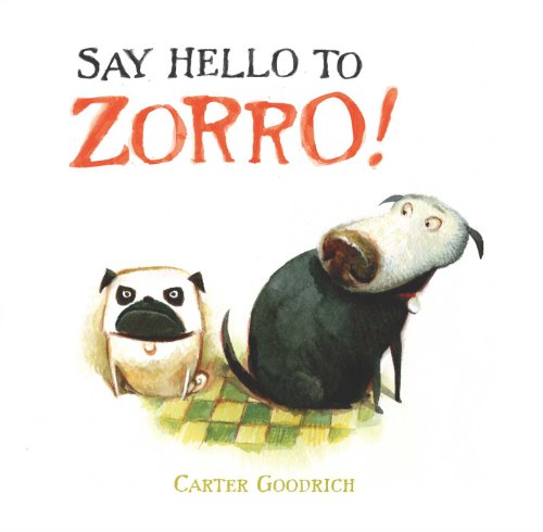 Stock image for Say Hello to Zorro! for sale by SecondSale