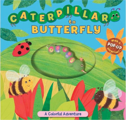 Imagen de archivo de Caterpillar to Butterfly: A Colorful Adventure a la venta por Goodwill of Colorado