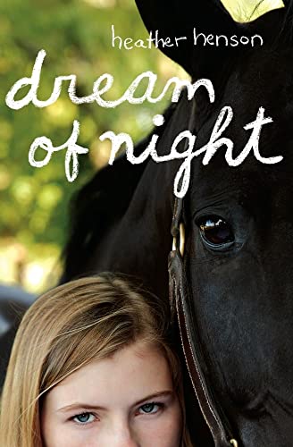 Imagen de archivo de Dream of Night a la venta por Orion Tech