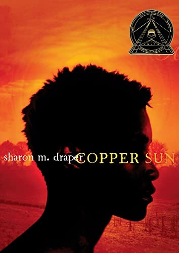 9781416953487: Copper Sun
