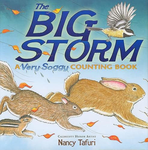 The Big Storm: A Very Soggy Counting Book