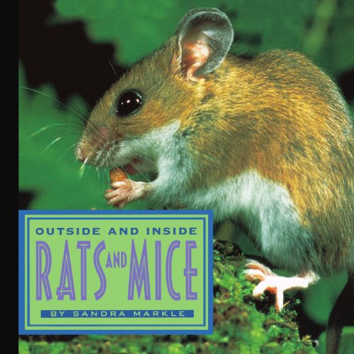 9781416975717: Outside and Inside Rats and Mice
