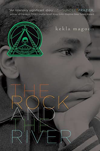 Beispielbild fr The Rock and the River zum Verkauf von Better World Books