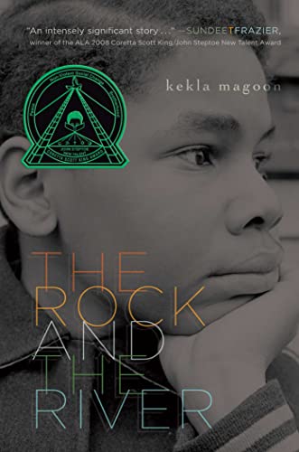 9781416975823: The Rock and the River