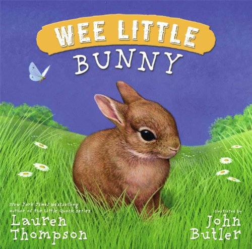 Stock image for Wee Little Bunny for sale by Brit Books