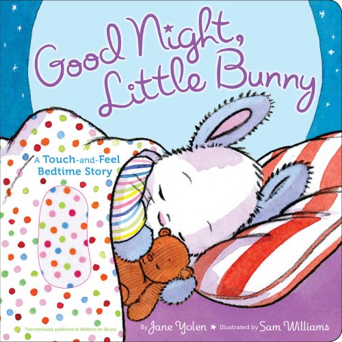 Stock image for Good Night, Little Bunny: A Touch-and-Feel Bedtime Story for sale by Gulf Coast Books