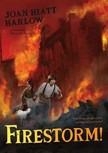 Beispielbild fr Firestorm! zum Verkauf von Better World Books