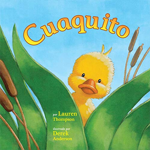 Stock image for Cuaquito (Spanish Edition) for sale by Hawking Books