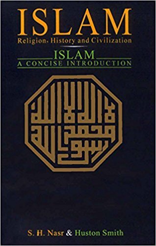 9781417700905: Islam: Religion, History, and Civilization