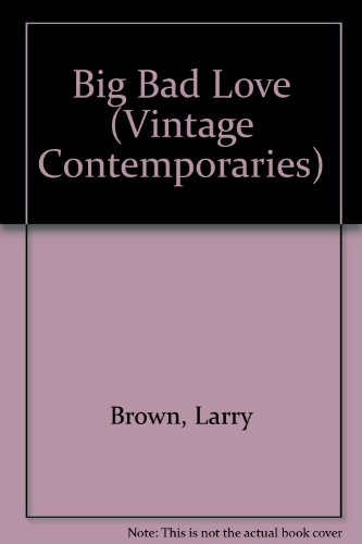 9781417718535: Big Bad Love (Vintage Contemporaries)