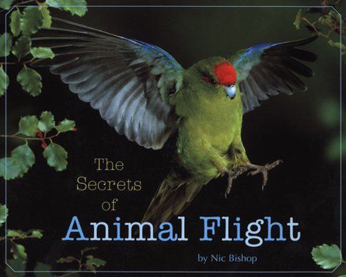 Beispielbild fr Secrets of Animal Flight zum Verkauf von Better World Books
