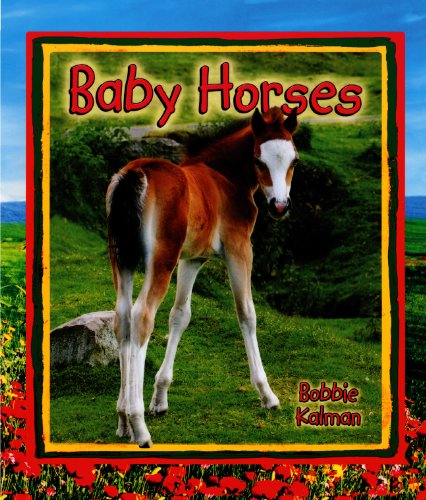 Baby Horses (Turtleback School & Library Binding Edition) (9781417809752) by Kalman, Bobbie