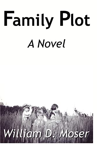 Stock image for Family Plot: Novel for sale by Signedbookman
