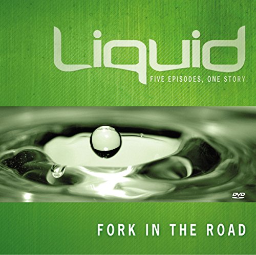9781418527631: Fork in the Road: Liquid
