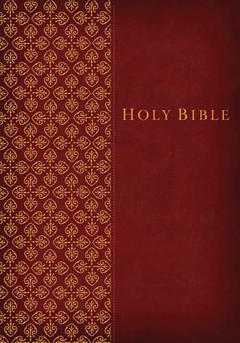 9781418547165: Study Bible-KJV