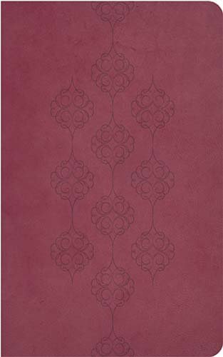 9781418547707: Holy Bible: King James Version, Deep Rose Leathersoft, Giant Print Reference Edition