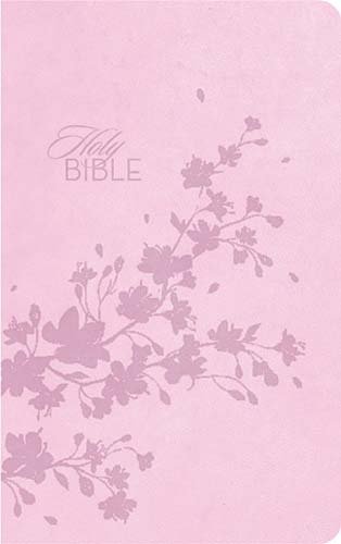 9781418548186: Holy Bible: New King James Version, Cotton Candy, Leathersoft