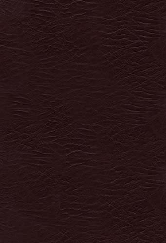 9781418548650: NKJV Jesus Calling Devotional Bible: Enjoying Peace in His Presence, Burgundy, Bonded Leather