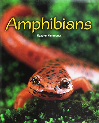 Imagen de archivo de Amphibians: Individual Student Edition Silver (Rigby Flying Colors) a la venta por SecondSale
