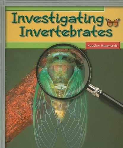 Imagen de archivo de Individual Student Edition Silver: Investigating Invertebrates (Rigby Flying Colors) a la venta por Once Upon A Time Books