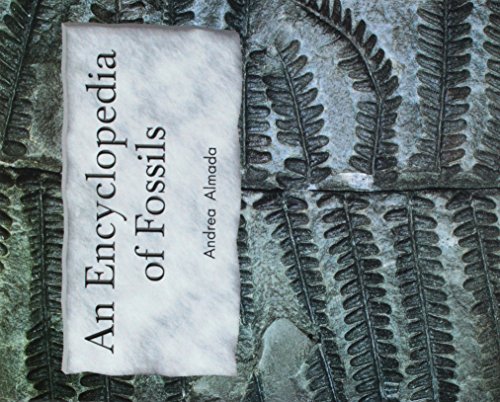 Stock image for The Encyclopedia of Fossils: Leveled Reader Grade 2 (Rigby Literacy by Design) for sale by SecondSale