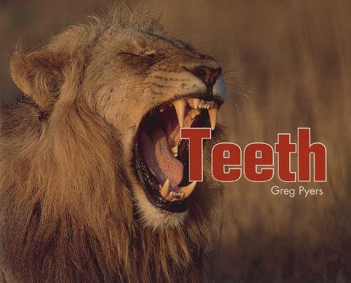9781418935771: Teeth Grade 2 (Rigby Literacy by Design)