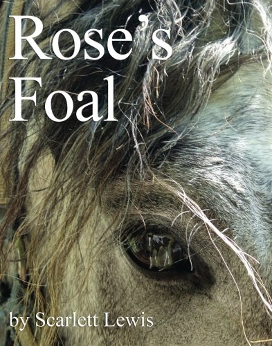 Imagen de archivo de Rose's Foal a la venta por Better World Books