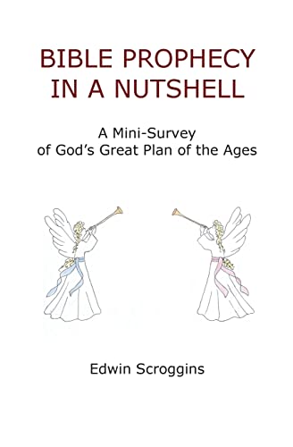 9781419661266: Bible Prophecy in a Nutshell: A Mini-Survey of God's Great Plan of the Ages