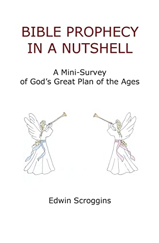 Stock image for Bible Prophecy in a Nutshell: A Mini-Survey of God's Great Plan of the Ages for sale by HPB-Movies